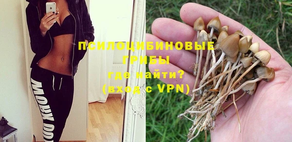 ALPHA PVP Володарск